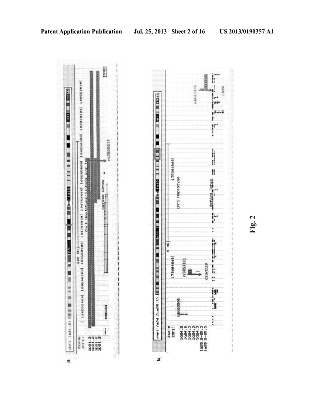 COMPOSITIONS AND METHODS FOR ASSESSING AND TREATING A PRECURSOR LESION     AND/OR ESOPHAGEAL CANCER - diagram, schematic, and image 03