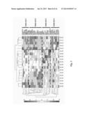 COMPOSITIONS AND METHODS FOR ASSESSING AND TREATING A PRECURSOR LESION     AND/OR ESOPHAGEAL CANCER diagram and image