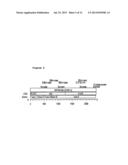 METHODS FOR INHIBITING EXPRESSION OF CONNECTIVE TISSUE GROWTH FACTOR diagram and image