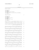 METHODS FOR INHIBITING EXPRESSION OF CONNECTIVE TISSUE GROWTH FACTOR diagram and image