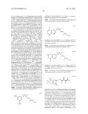 AUTOIMMUNE DISORDER TREATMENT USING RXR AGONISTS diagram and image