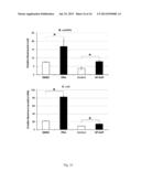 METHOD FOR ONE-STEP PURIFICATION OF RECOMBINANT HELICOBACTER PYLORI     NEUTROPHIL-ACTIVATING PROTEIN diagram and image