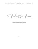 In Vivo Polynucleotide Delivery Conjugates Having Enzyme Sensitive     Linkages diagram and image