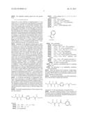 In Vivo Polynucleotide Delivery Conjugates Having Enzyme Sensitive     Linkages diagram and image