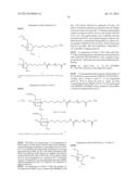 In Vivo Polynucleotide Delivery Conjugates Having Enzyme Sensitive     Linkages diagram and image