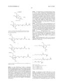 In Vivo Polynucleotide Delivery Conjugates Having Enzyme Sensitive     Linkages diagram and image