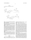 HSP90 INHIBITOR AND PREPARATION METHOD AND USE THEREOF diagram and image