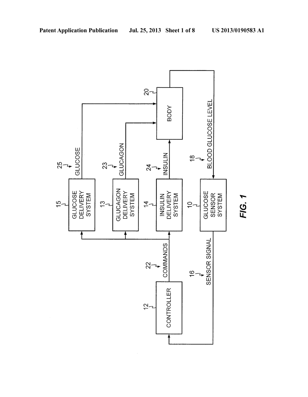 METHOD AND/OR SYSTEM FOR ASSESSING A PATIENT'S GLYCEMIC RESPONSE - diagram, schematic, and image 02