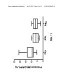 AUTOREGULATION MONITORING diagram and image