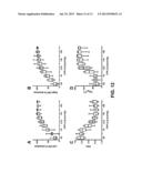 AUTOREGULATION MONITORING diagram and image