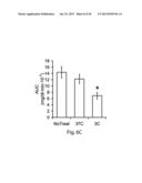 METHODS AND DEVICES FOR SELECTIVE DISRUPTION OF VISCERAL FAT BY CONTROLLED     COOLING diagram and image