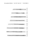 IVC FILTER CATHETER WITH IMAGING MODALITY diagram and image