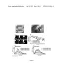 COMPOSITION AND METHODS FOR COATING diagram and image