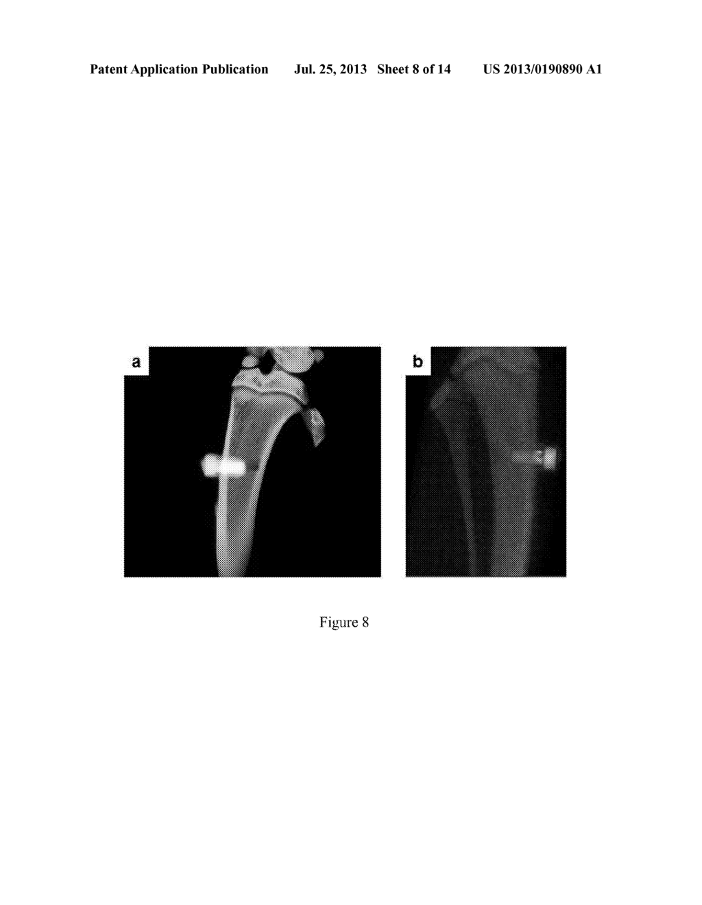 COMPOSITION AND METHODS FOR COATING - diagram, schematic, and image 09