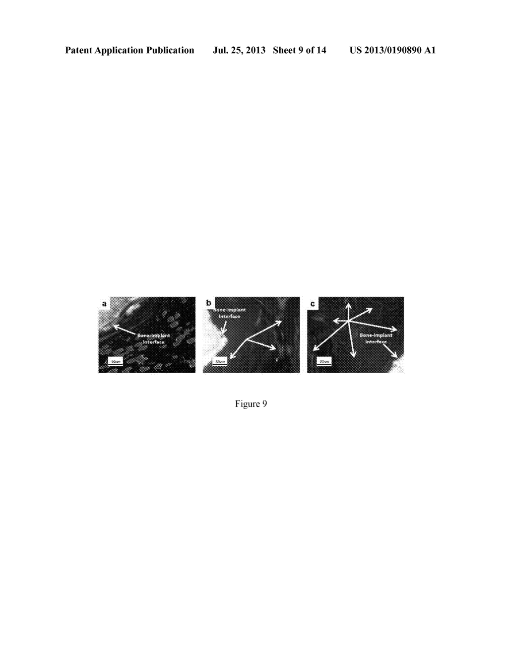 COMPOSITION AND METHODS FOR COATING - diagram, schematic, and image 10