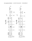 NUMERICAL CONTROL PROGRAMMING METHOD, NUMERICAL CONTROL PROGRAMMING     DEVICE, PROGRAM, AND NUMERICAL CONTROL APPARATUS diagram and image