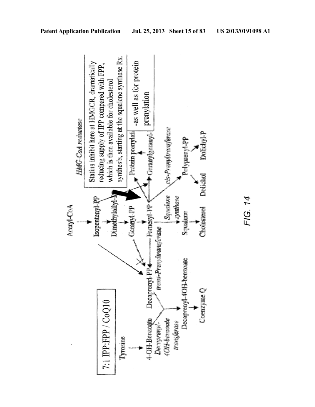 METHODS AND SYSTEMS FOR SIMULATIONS OF COMPLEX BIOLOGICAL NETWORKS USING     GENE EXPRESSION INDEXING IN COMPUTATIONAL MODELS - diagram, schematic, and image 17