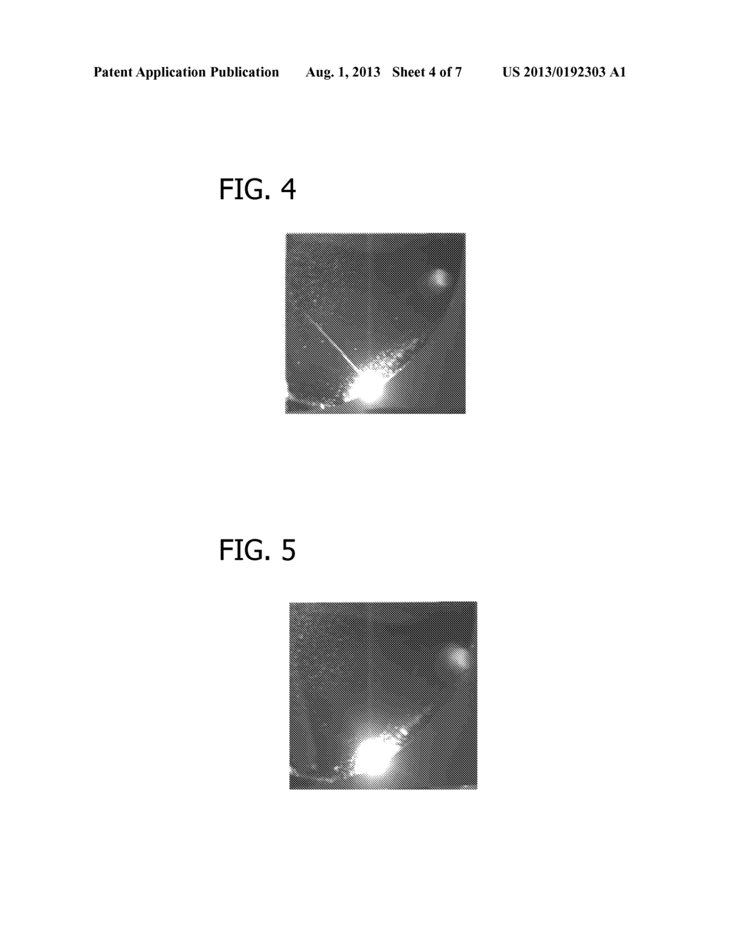 QUALITATIVE CRYSTAL DEFECT EVALUATION METHOD - diagram, schematic, and image 05