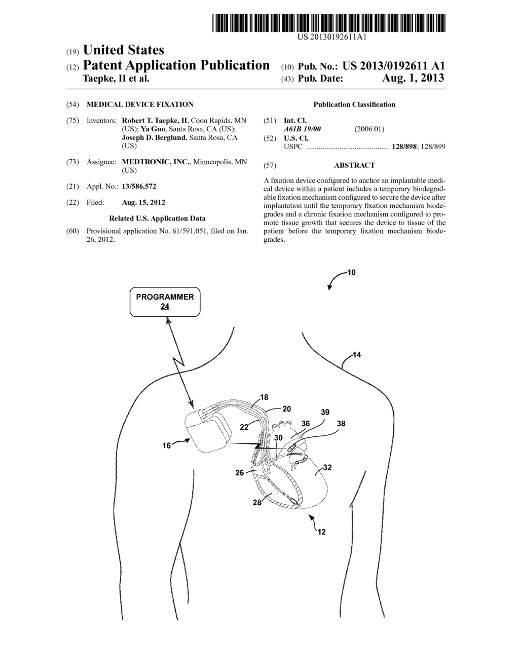 MEDICAL DEVICE FIXATION - diagram, schematic, and image 01