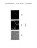 METHOD FOR PRODUCING CU-GA ALLOY POWDER, CU-GA ALLOY POWDER, METHOD FOR     PRODUCING CU-GA ALLOY SPUTTERING TARGET, AND CU-GA ALLOY SPUTTERING     TARGET diagram and image