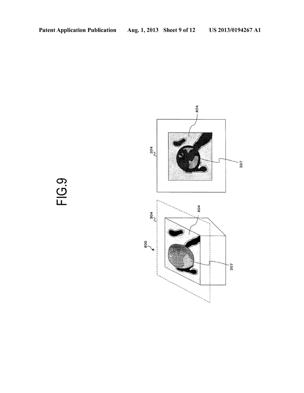 ULTRASONIC DIAGNOSTIC APPARATUS AND ULTRASONIC IMAGE DISPLAY METHOD - diagram, schematic, and image 10