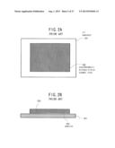 ELECTROPHORETIC DISPLAY DEVICE AND METHOD OF FABRICATING THE SAME diagram and image