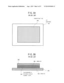 ELECTROPHORETIC DISPLAY DEVICE AND METHOD OF FABRICATING THE SAME diagram and image