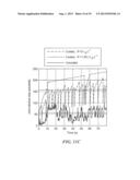 Multi-Path Data Transfer Using Network Coding diagram and image