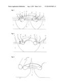 Integrated Microtoroids Monolithically Coupled with Integrated Waveguides diagram and image