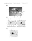 Integrated Microtoroids Monolithically Coupled with Integrated Waveguides diagram and image
