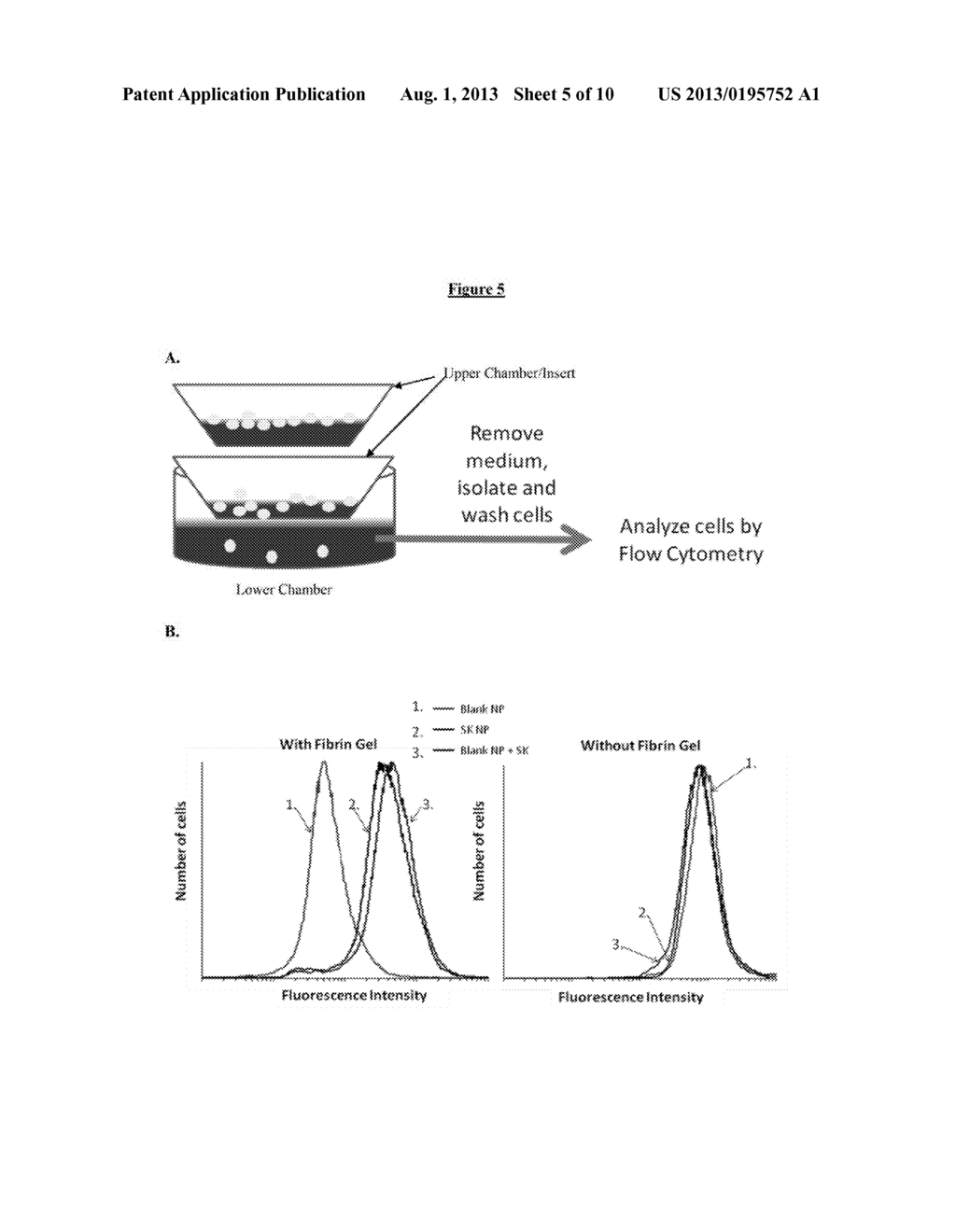 FUNCTIONALIZED NANOPARTICLES AND METHODS OF USE THEREOF - diagram, schematic, and image 06