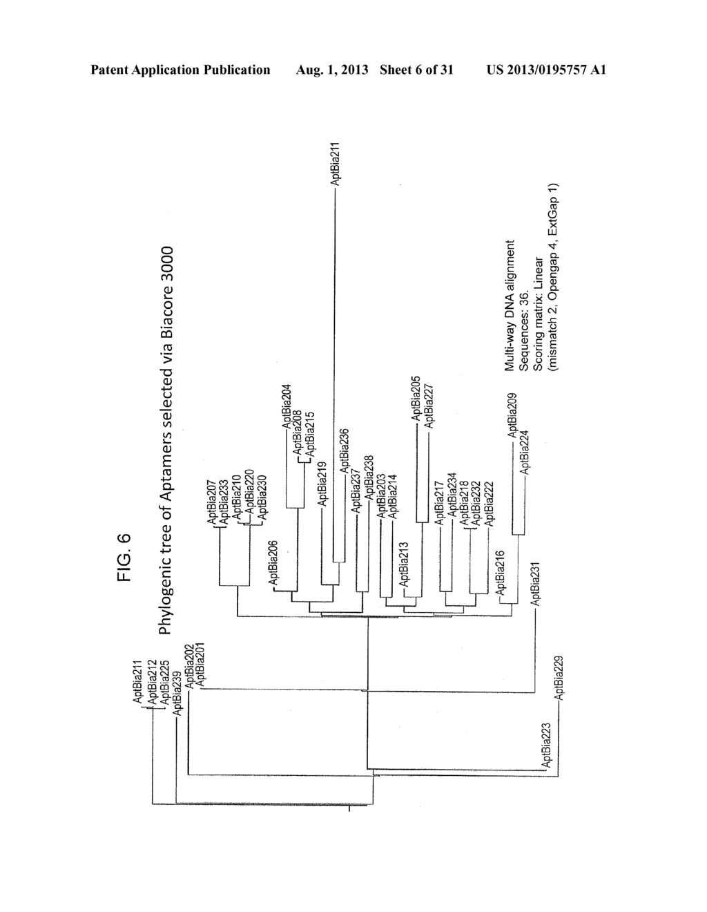 SPARC BINDING APTAMERS AND USES THEREOF - diagram, schematic, and image 07