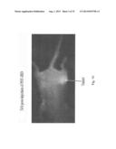 PAA NANOPLATFORMS CONTAINING FLUOROPHORES AND TARGETED MOIETIES COVALENTLY     LINKED AND PHOTOSENSITIZER POST-LOADED diagram and image