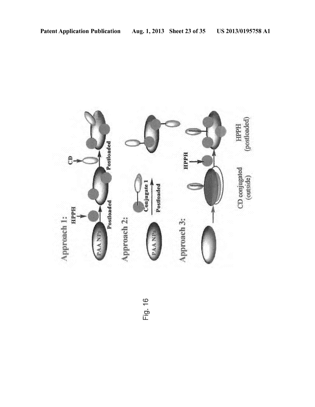 PAA NANOPLATFORMS CONTAINING FLUOROPHORES AND TARGETED MOIETIES COVALENTLY     LINKED AND PHOTOSENSITIZER POST-LOADED - diagram, schematic, and image 24