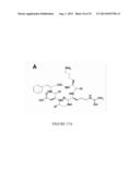 PAA NANOPLATFORMS CONTAINING FLUOROPHORES AND TARGETED MOIETIES COVALENTLY     LINKED AND PHOTOSENSITIZER POST-LOADED diagram and image