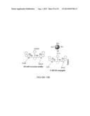 PAA NANOPLATFORMS CONTAINING FLUOROPHORES AND TARGETED MOIETIES COVALENTLY     LINKED AND PHOTOSENSITIZER POST-LOADED diagram and image