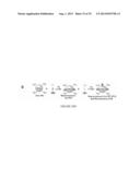 PAA NANOPLATFORMS CONTAINING FLUOROPHORES AND TARGETED MOIETIES COVALENTLY     LINKED AND PHOTOSENSITIZER POST-LOADED diagram and image