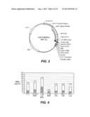 Modified Variant Bowman Birk Protease Inhibitors diagram and image