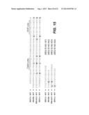 Modified Variant Bowman Birk Protease Inhibitors diagram and image