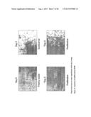 MULTIPOTENT STEM CELLS AND USES THEREOF diagram and image