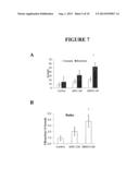 METHODS AND COMPOSITIONS FOR MODULATING ANGIOGENESIS AND VASCULOGENESIS diagram and image