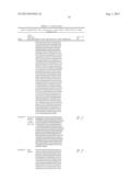 INNOVATIVE DISCOVERY OF THERAPEUTIC, DIAGNOSTIC, AND ANTIBODY COMPOSITIONS     RELATED TO PROTEIN FRAGMENTS OF PHENYLALANYL-ALPHA-TRNA SYNTHETASES diagram and image