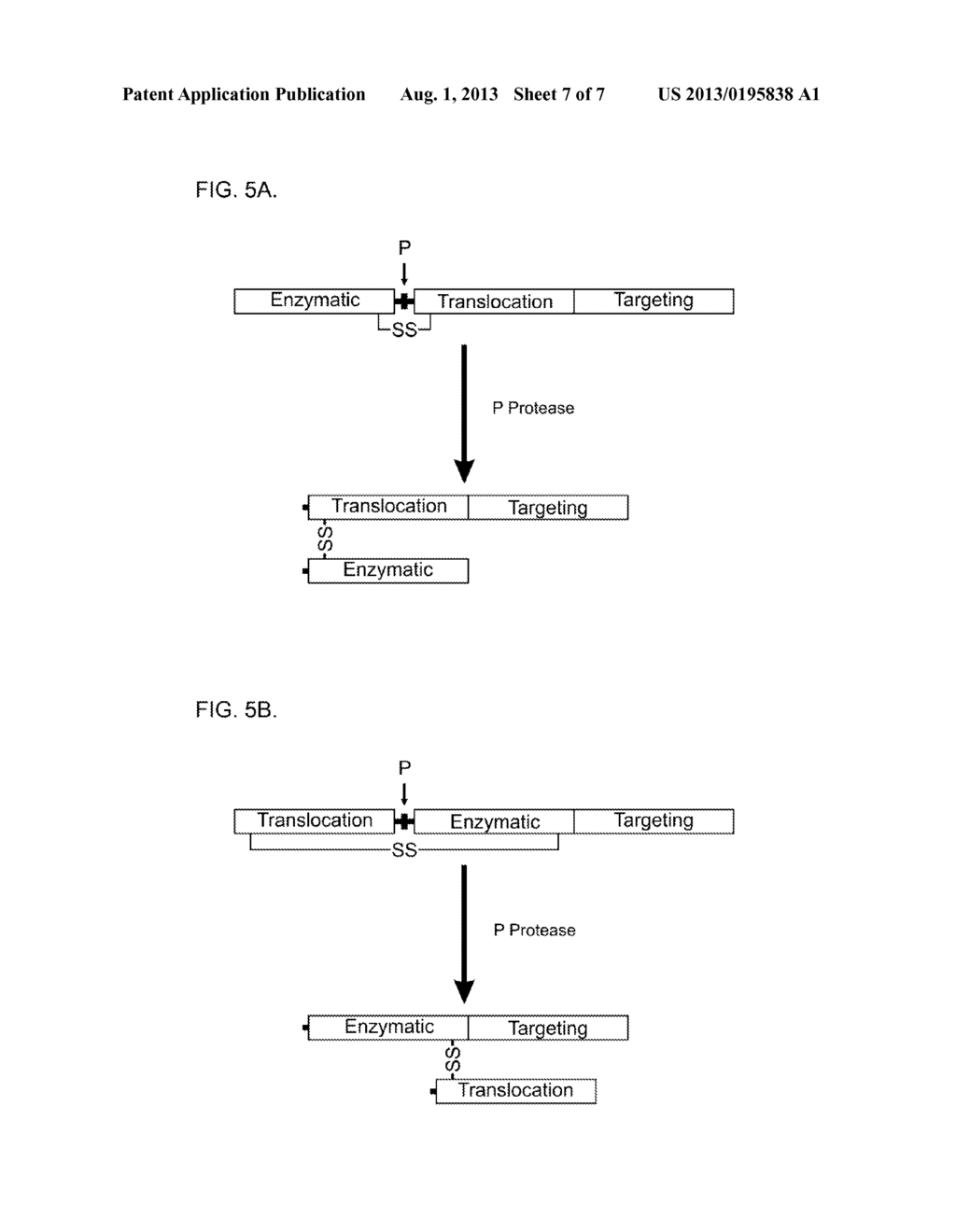 Methods of Treating Cancer Using Growth Factor Retargeted Endopeptidases - diagram, schematic, and image 08