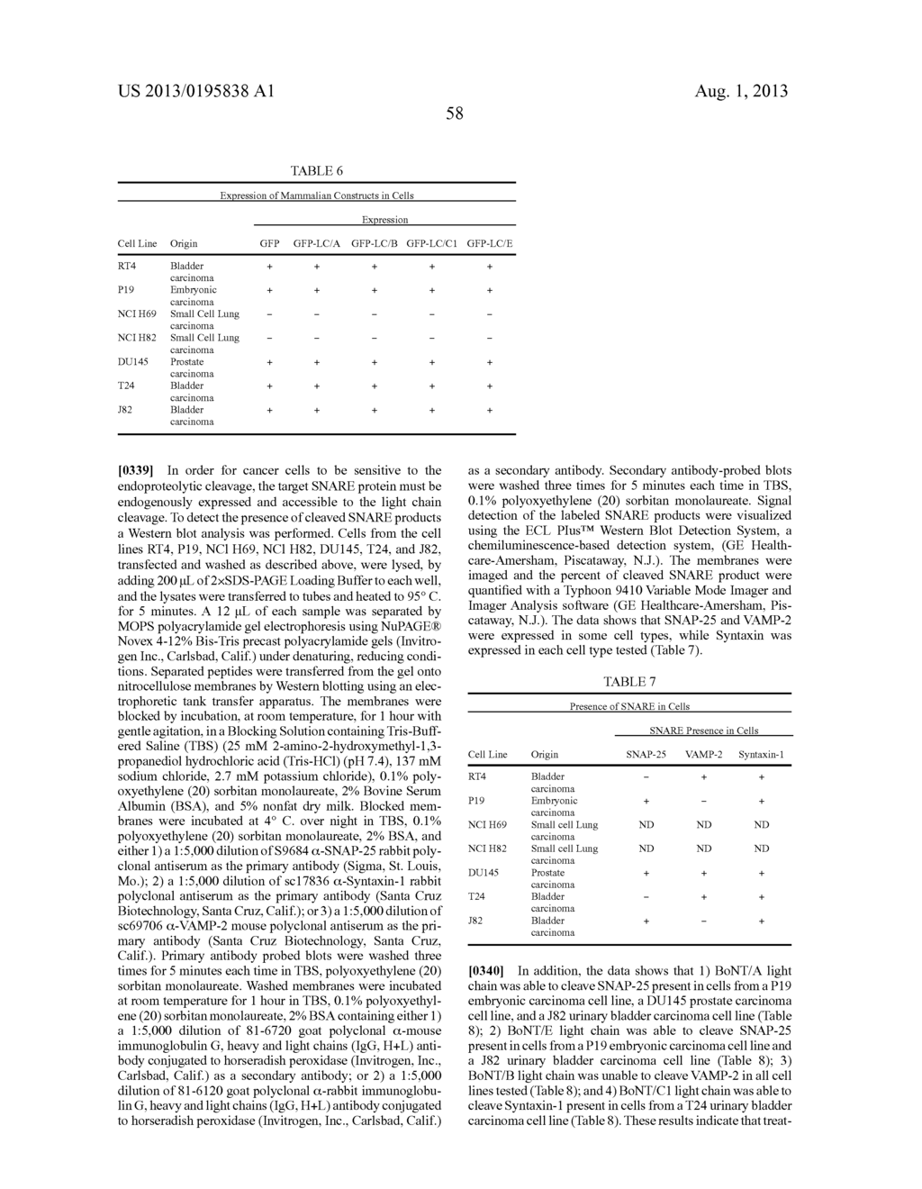 Methods of Treating Cancer Using Growth Factor Retargeted Endopeptidases - diagram, schematic, and image 66