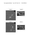 METHODS TO INHIBIT NEURODEGENERATION diagram and image