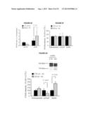 METHODS TO INHIBIT NEURODEGENERATION diagram and image