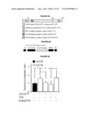 METHODS TO INHIBIT NEURODEGENERATION diagram and image