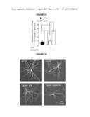 METHODS TO INHIBIT NEURODEGENERATION diagram and image