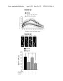 METHODS TO INHIBIT NEURODEGENERATION diagram and image