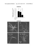 METHODS TO INHIBIT NEURODEGENERATION diagram and image